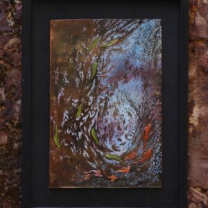 Waterscape - Koi Fish in the Canal